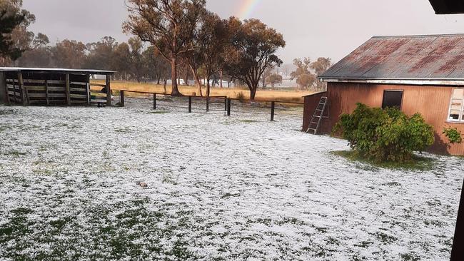 Hail covers grass at property in Glen Niven October 14, 2021. Photo: Catherine Coker / contributed