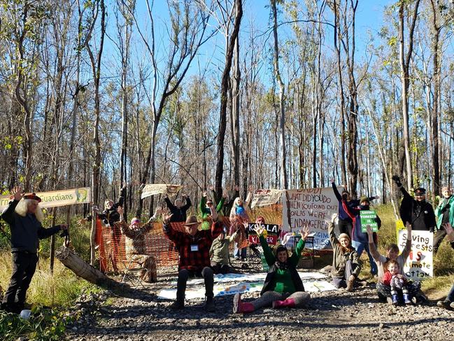 Community members have rallied together to help save the Banyabba Koalas.