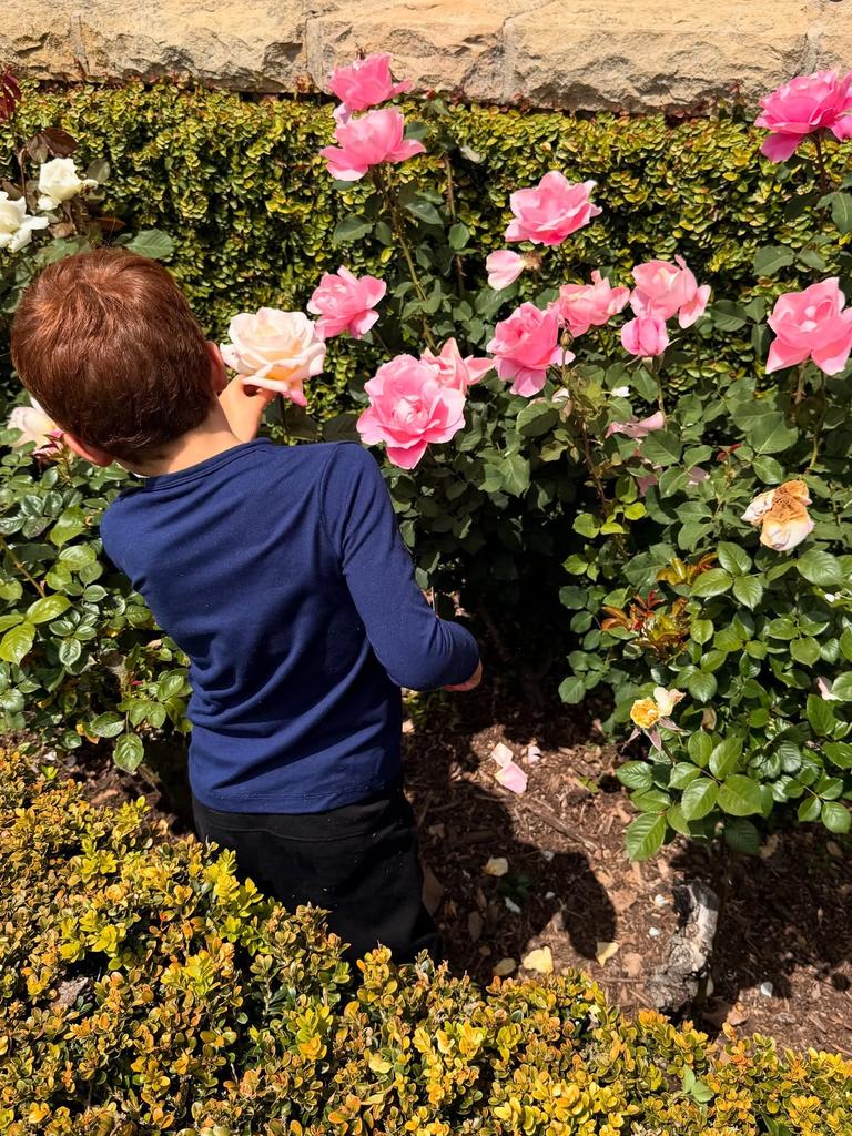 Prince Archie also sported locks with a reddish tinge. Picture: meghan/Instagram