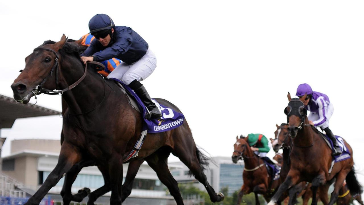 Melbourne Cup favourite Tiger Moth in action at Leopardstown Racecourse, Dublin earlier this year.