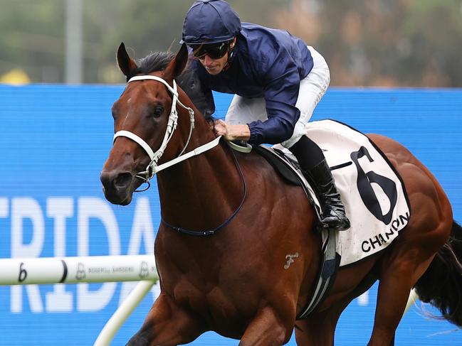 SYDNEY, AUSTRALIA - JANUARY 18:  James McDonald riding Wodeton win Race 1 Chandon Handicap during Sydney Racing at Rosehill Gardens Racecourse on January 18, 2025 in Sydney, Australia. (Photo by Jeremy Ng/Getty Images)