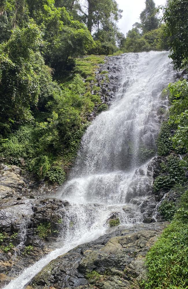 The stunning Dorrigo Mountain waterfall. Picture: Matt Gazy