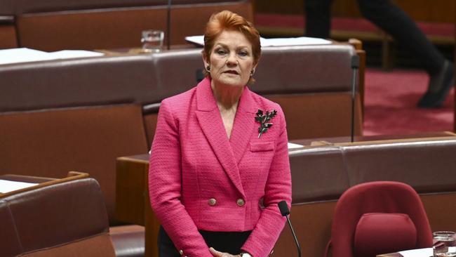 Senator Pauline Hanson expressed strong views over the issue. Picture: NewsWire / Martin Ollman