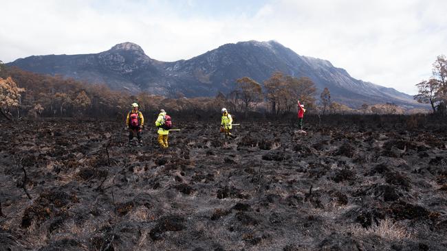 Firefighters standing in burnt buttongrass. Picture: WARREN FREY/TASMANIA FIRE SERVICE 