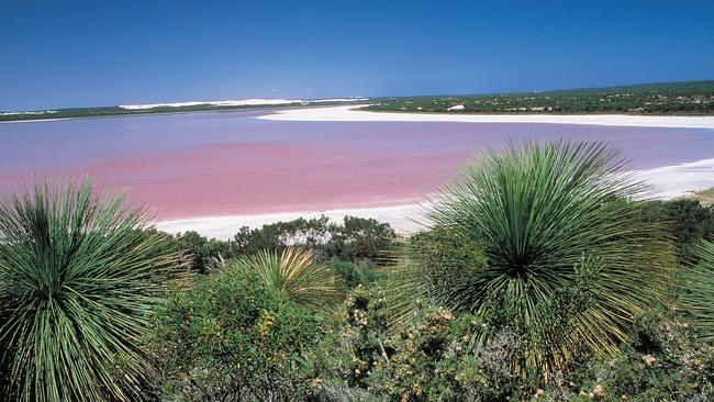 The Pink Lake at Esperance, WA.