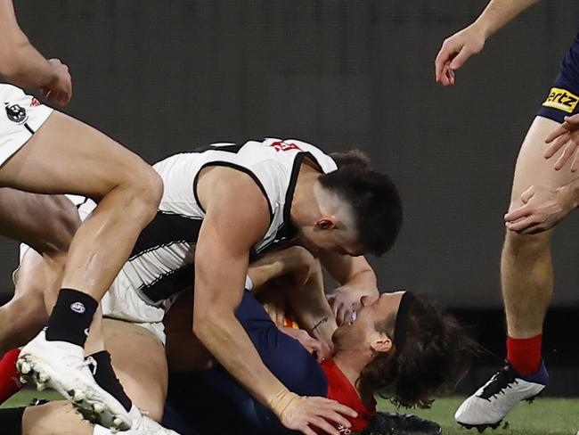 The Dees and the Pies are two very successful teams in their own unique ways. (Photo by Darrian Traynor/Getty Images)