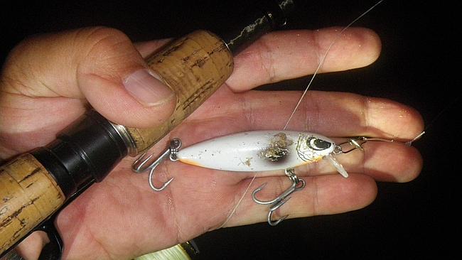 Reidy&#39;s Hellraiser lure in Karen&#39;s Pearl colour