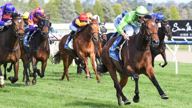 Groovy Kinda Love can make a winning return at Sandown Lakeside. Picture: Racing Photos via Getty Images