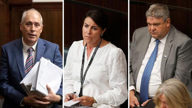 Liberal ministers in the Legislative Council Nick Duigan, Jo Palmer and Kerry Vincent.