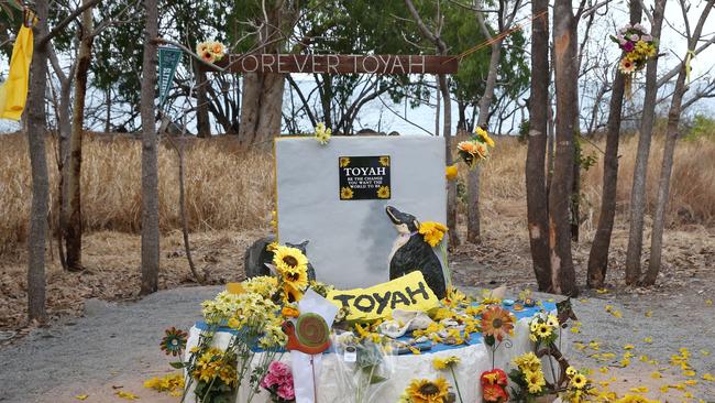 A large, permanent concrete memorial for Toyah Cordingley was unveiled in a service at Wangetti Beach in October last year. The memorial stone includes a plaque with a quote chosen by Toyah's family. PICTURE: BRENDAN RADKE