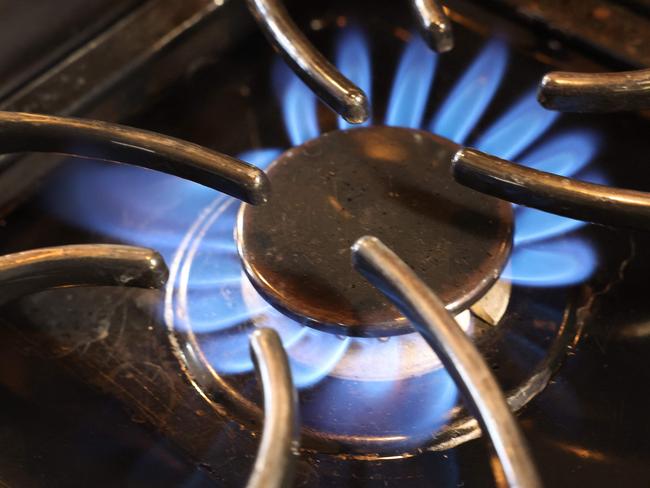 the motion also claimed that households would save money by moving to all-electric homes. Getty Images via AFP)
