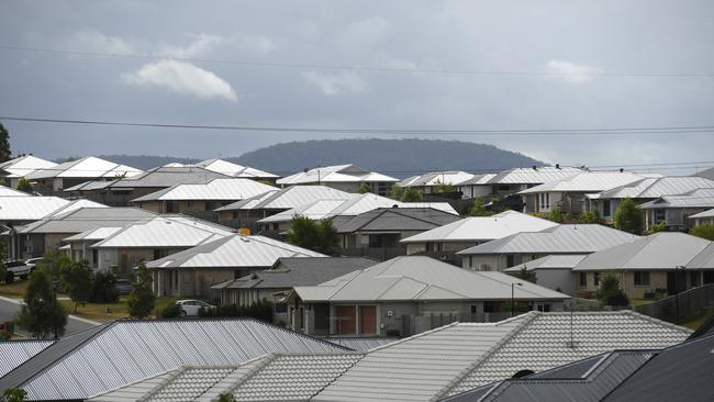 Gracemere residents say a ‘mice plague’ is taking over the area.