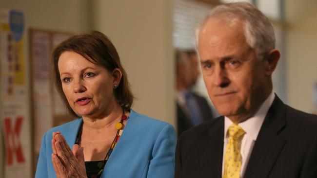 Sussan Ley has submitted her resignation to Prime Minister Malcolm Turnbull. Picture: AAP