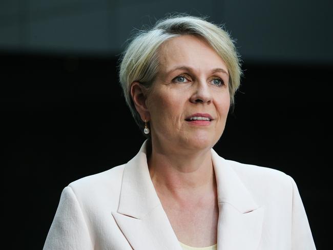 SYDNEY, AUSTRALIA : NewsWire Photos- AUGUST 28 2024; Tanya Plibersek MP Ã Minister for the Environment and Water addresses the media in a press conference after a tour through the Newscorp printing facility in Sydney recognising News Publishing media industry for recycling leadership.  Picture: NewsWire / Gaye Gerard