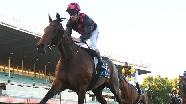 Malicorne and jockey Mark Zahra should again prove hard to beat at Flemington. Picture: Racing Photos via Getty Images