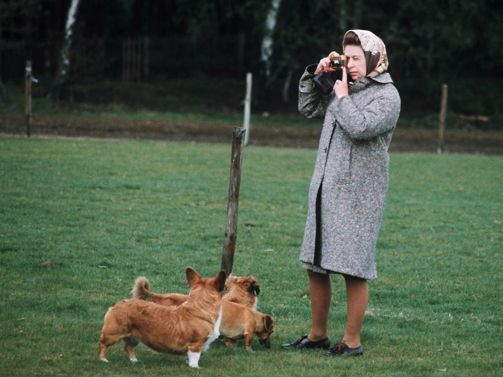 Queen Elizabeth II pictured photographing her corgis at Windsor Park in 1960. Picture: Anwar Hussein/ Getty Images