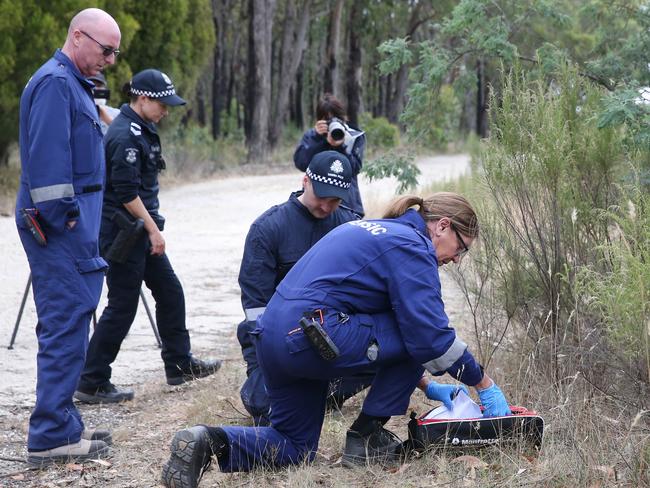 Police search for missing woman Samantha Murphy in Woowookarung Regional Park on Friday. Picture: Brendan Beckett