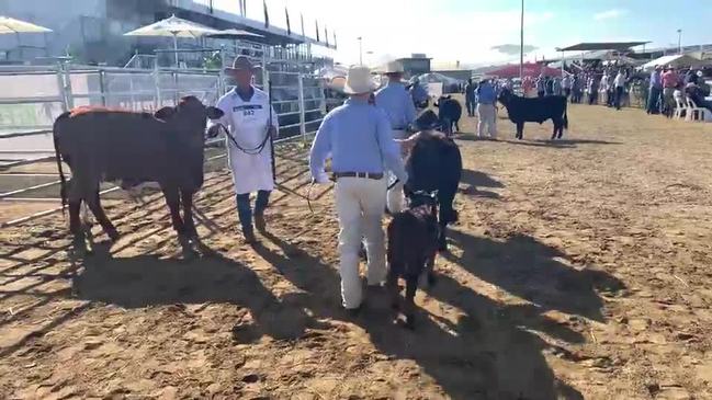 Beef Australia 2021