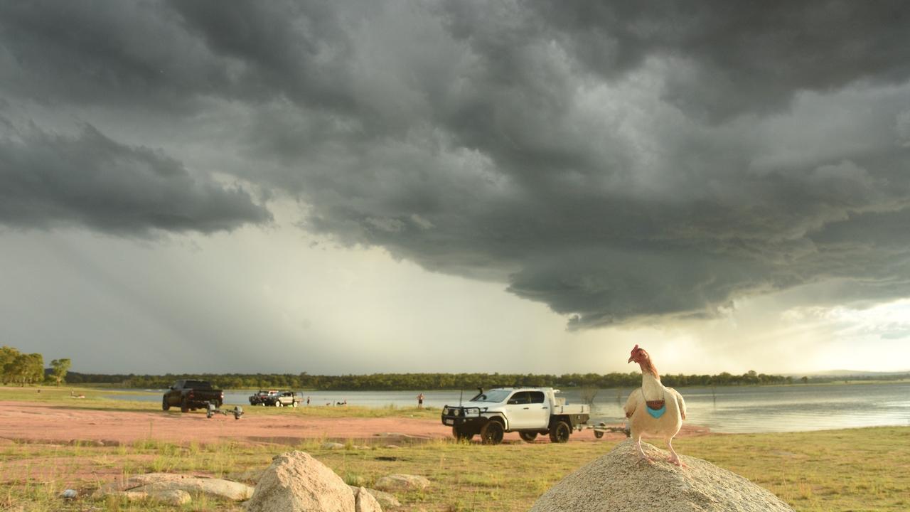 Storm Chicken has taken the internet by storm for its fearless posing in the face of storm clouds. Picture: Life of Chicken