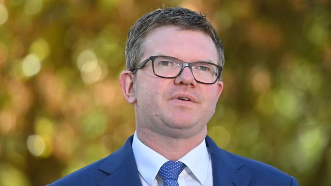 Health Minister Chris Picton said the review’s recommendations would be implemented as soon as possible. Picture: Keryn Stevens