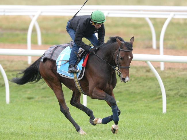 Red Cardinal’s last start was ordinary.