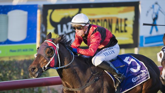 Mighty Quinn ridden by Les Tilley wins at Clifford Park. Photo: Nev Madsen