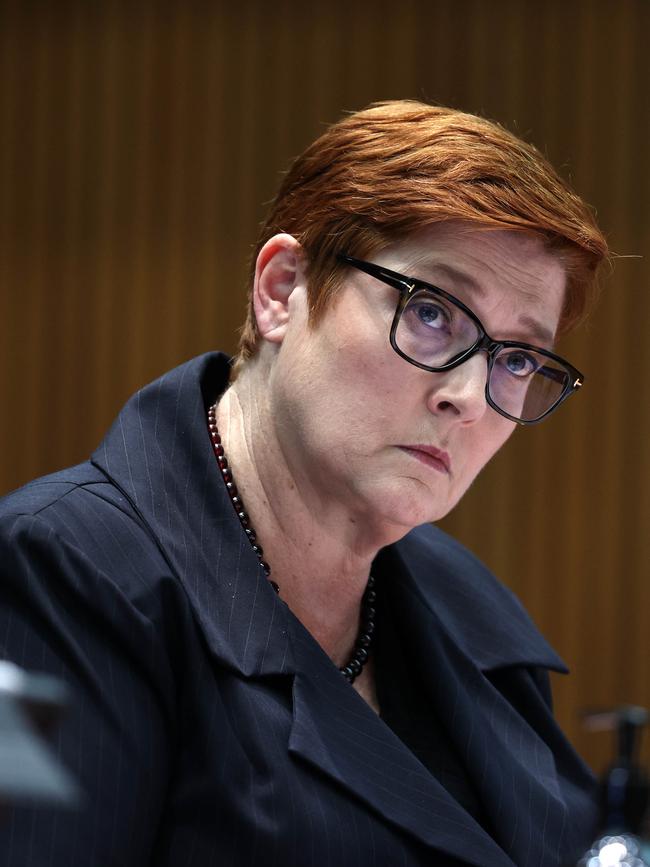 Foreign minister Marise Payne. Picture: NCA NewsWire / Gary Ramage