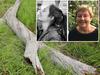 Council denies complaints made following freak tree fall tragedy