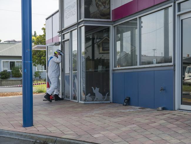 Fire at Tasmanian Veterinary Hospitals Bellerive. Picture: Caroline Tan