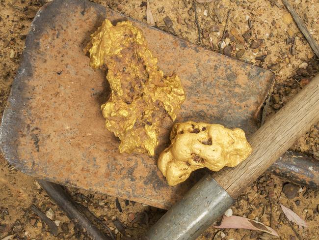 Wedderburn gold prospector Russell Fassanni  who found his first huge nugget when he was 16 holds some replica nuggets he has discovered in over 30 of forsaking in the area. Wedderburn hosts a gold festival this weelend .Contacts .Russell Fassanni 0401304644, Sharon Wells 0419508619.Picture:Rob Leeson.