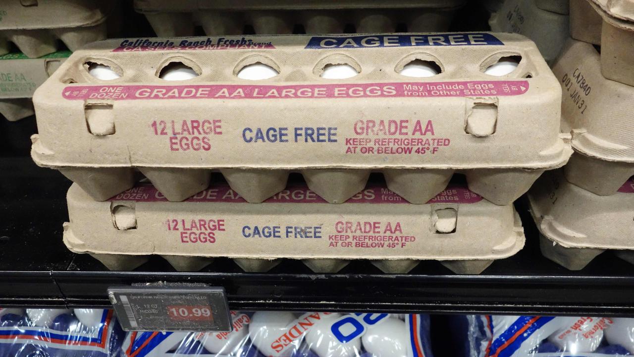 Allocation ‘egg-hausted’: Scramble to find eggs in worrying shortage