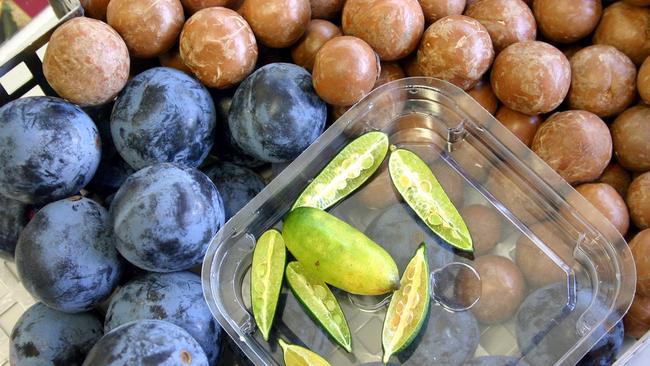 Endangered native fruits – finger lime, Davidson's plum and macadamia nuts.