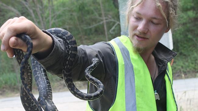 What it’s like to be a snake catcher