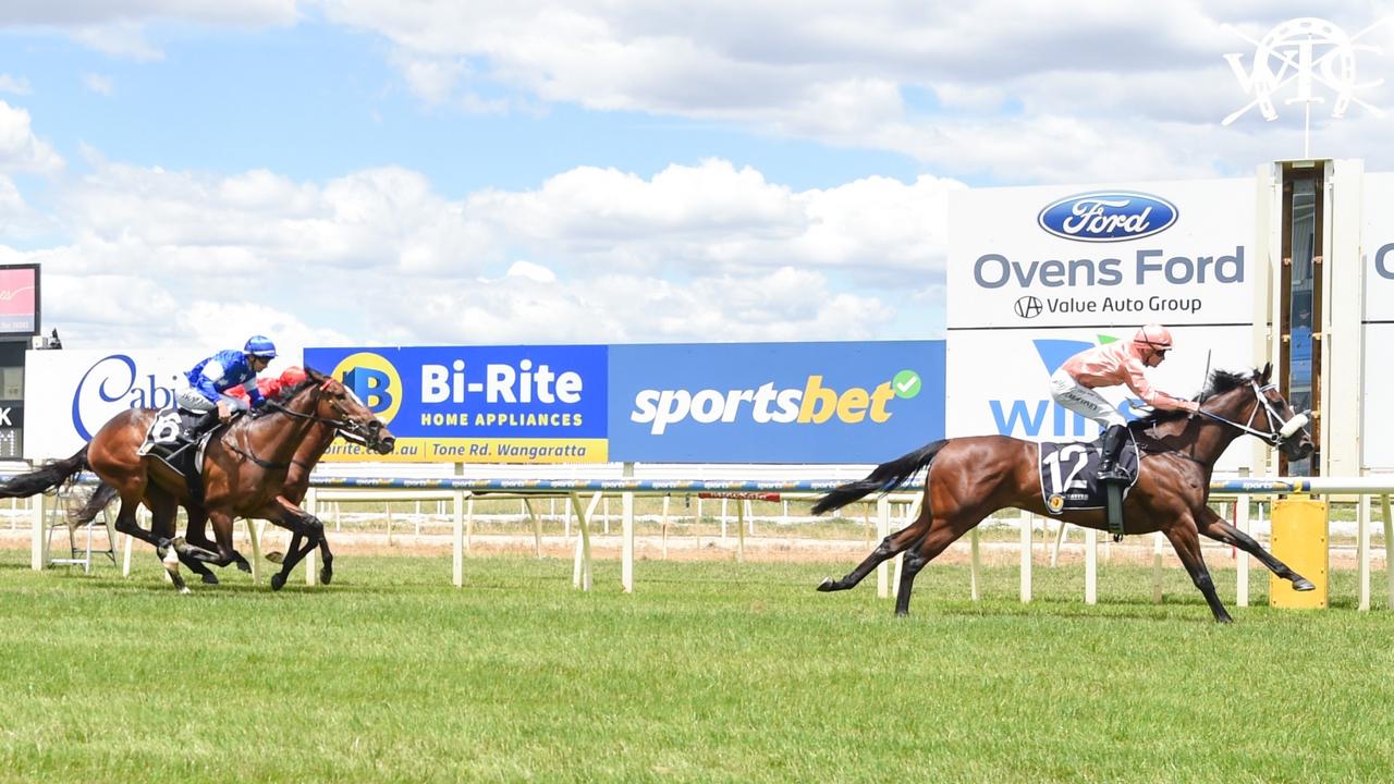 Persian Caviar puts a space on her rivals at Wangaratta. Picture: Brett Holburt / Racing Photos