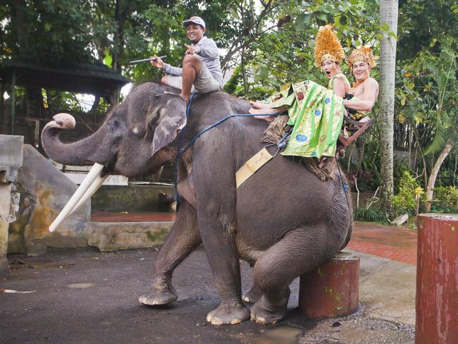 Riding elephants is a popular tourist activity in Thailand.