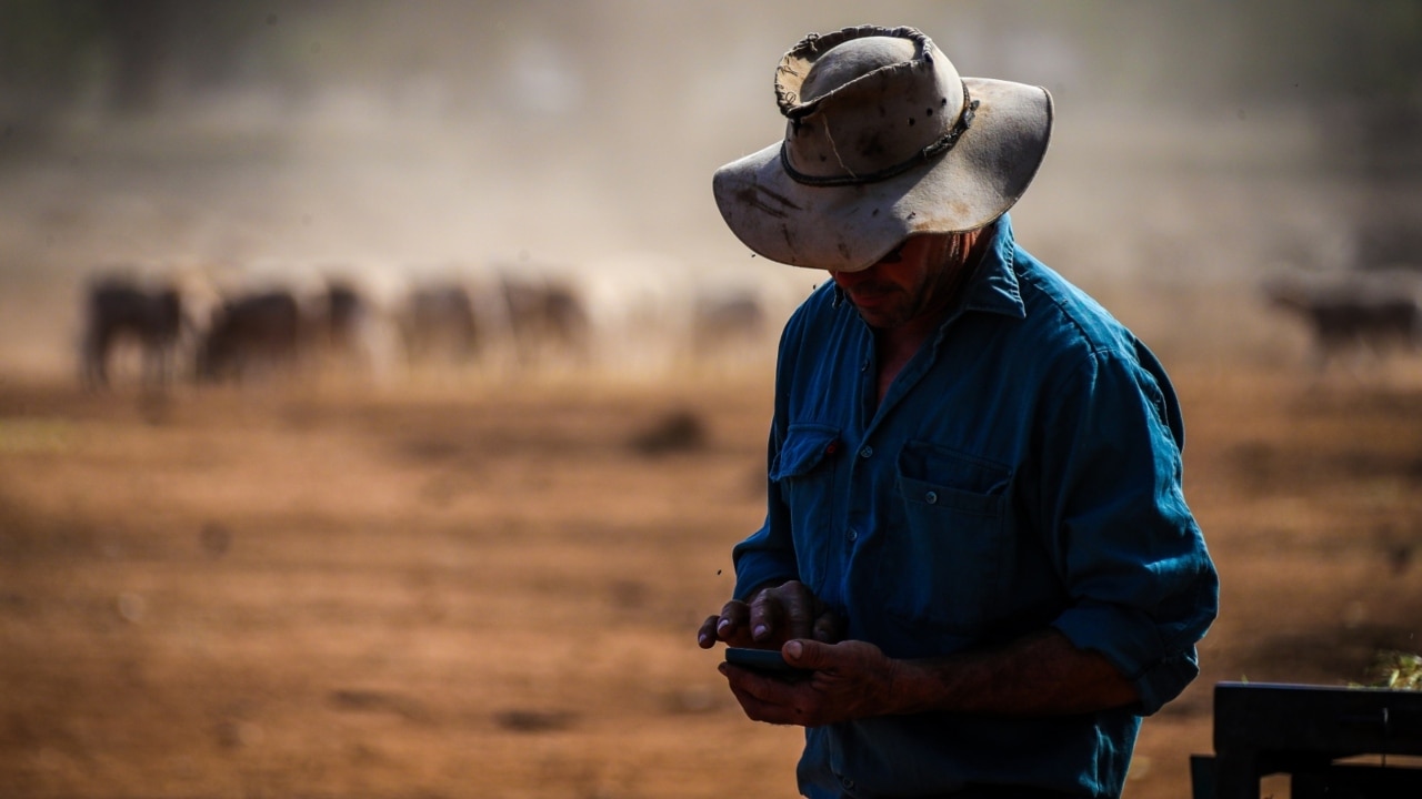 Farmers ‘held to ransom’ over transmission lines on their properties