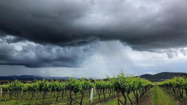 Robert Stein Vineyard, winery and farm in Mudgee. Picture: Instagram