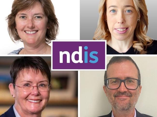 web art for NDIS budget