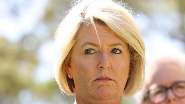 Police Minister Yasmin Catley said the decision by the Newcastle mayor to grant the permit would put the community at risk Picture: NewsWire / Damian Shaw