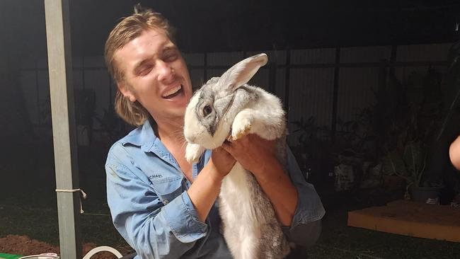 Bimbo the big bunny from Katherine. Picture: Supplied