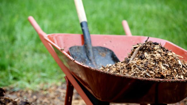 Garden tool prices have climbed this year as Aussies spend more time in their backyards.