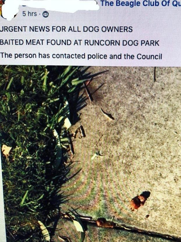 A screenshot of one of the newest warnings being shared around with various Queensland dog groups. Picture: Facebook