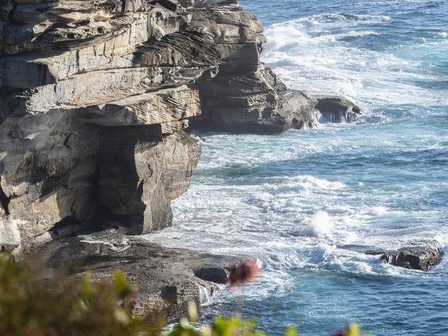 Police are searching for Sydney tech entrepreneur Andrew Findlay after Tim Klingender’s body was found off the rocks at Watsons Bay. Picture: Monique Harmer