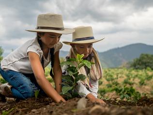 Children gardening