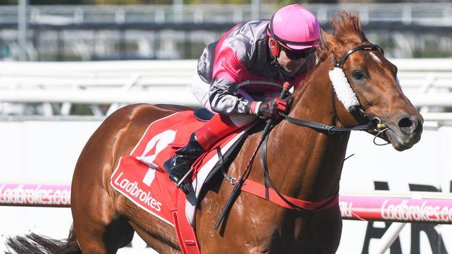 Dean Yendall got the day off to a winning start on Another Coldie at caulfield. Picture: AAP