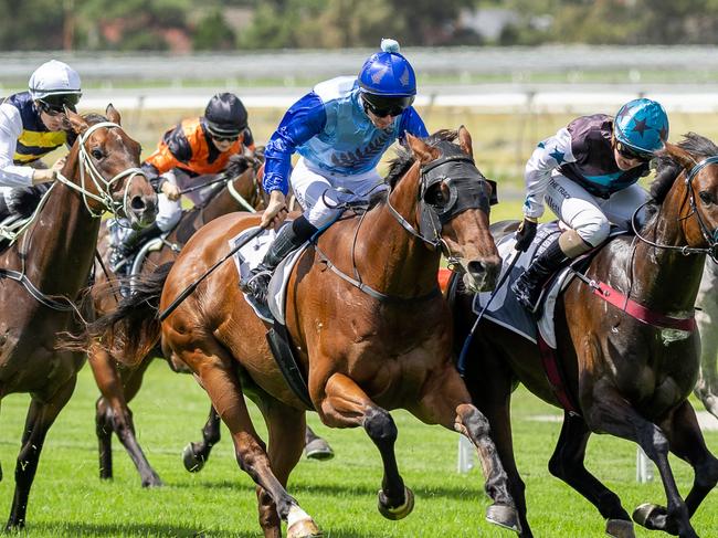 Bolt By overcomes Billie Bronx to win at Morphettville Parks. Picture: Makoto Kaneko.