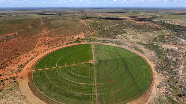 A pivot of reticulated grass pictured in 2020 on Gogo station near Fitzroy Crossing. Picture: Colin Murty