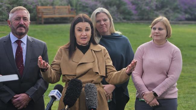 Jacqui Lambie Network MP Andrew Jenner, Senator Jacqui Lambie and MPs Rebekah Pentland, Miriam Beswick on Parliament Lawns on Thursday August 1, 2024.