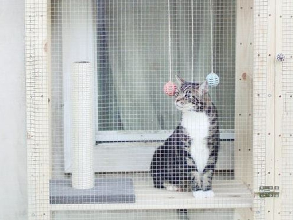 Ikea store cat enclosure