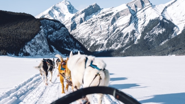 Dog sledding is a great way to explore the forests with little legs. Picture: Getty Images